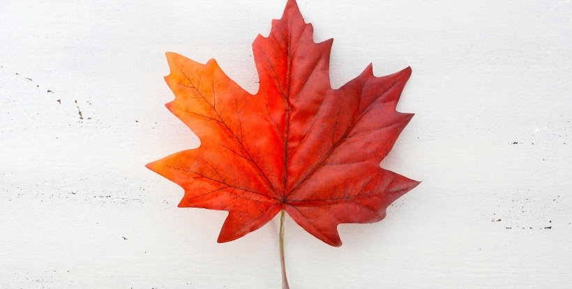 Jobs Across The World: Maple Leaf